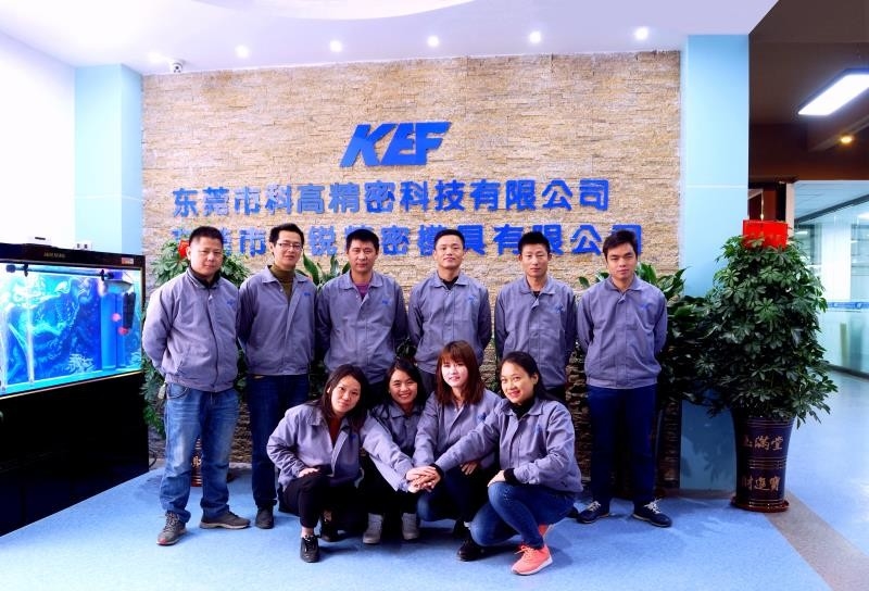 Chine Dongguan Kegao Precision Technology Co., Ltd. Profil de la société